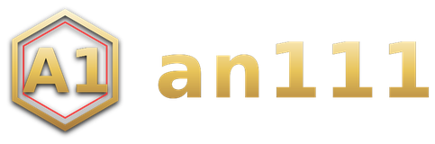 an111 logo